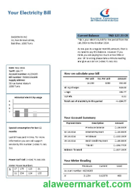 Tunisia electricity proof of address business utility bill template in Word and PDF formats